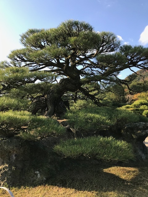 栗林公園_f0204295_19201801.jpg