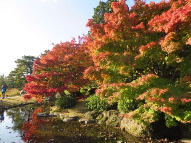 栗林公園_f0204295_19285581.jpg