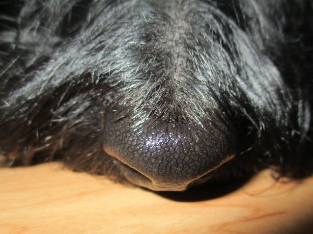 a0091796_16091901.jpeg
