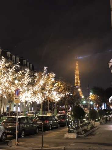 2018初冬パリ&マラケシューパリのライトアップ_c0134902_02382035.jpeg