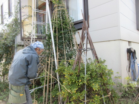 薪到来・木の冬囲い_a0203003_20064835.jpg