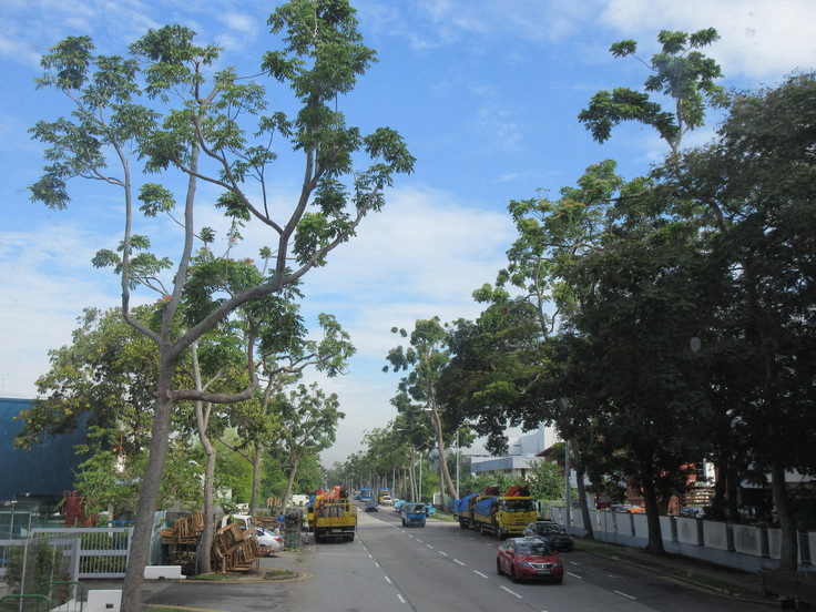 c0212604_6591465.jpg