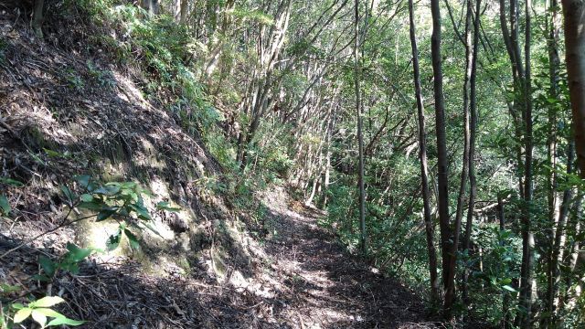 d0360104_22423853.jpg