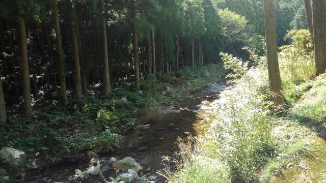 d0360104_22434787.jpg