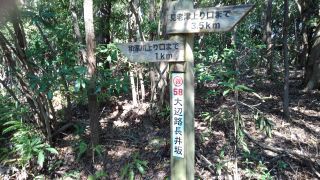 d0360104_22440901.jpg