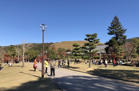 名勝依水園に紅葉狩り_c0388708_18564563.jpeg