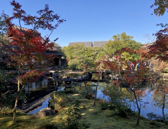 名勝依水園に紅葉狩り_c0388708_19070949.jpeg