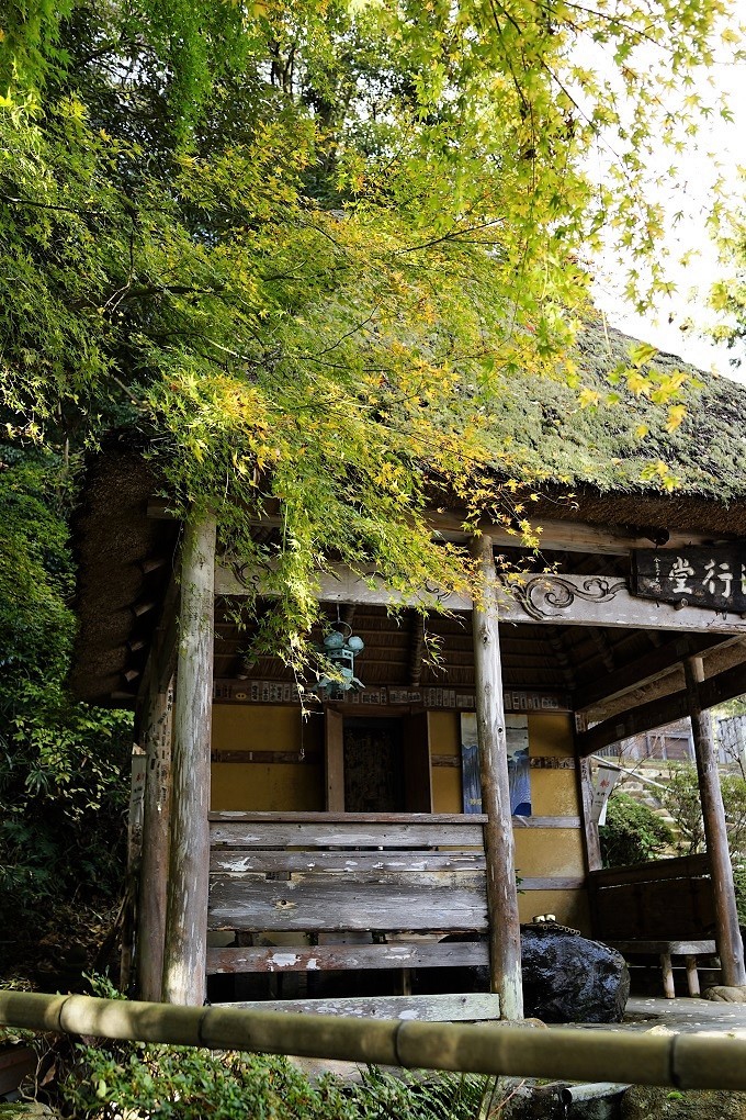 ぶらりとカメラを片手に･･･今に伝える妙成寺_b0392811_14054948.jpg