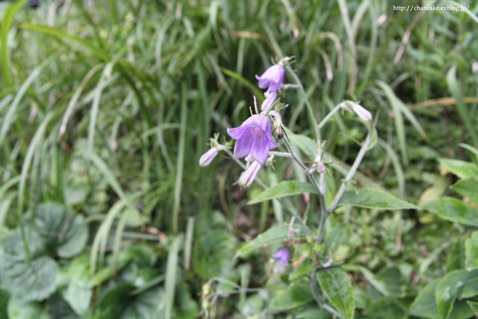 c0189013_05210650.jpg
