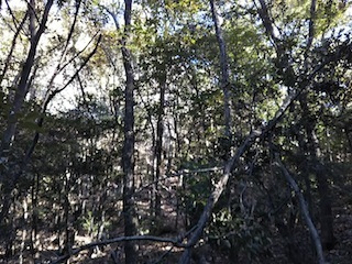 c0359615_19410207.jpg