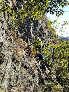 c0359615_19424200.jpg