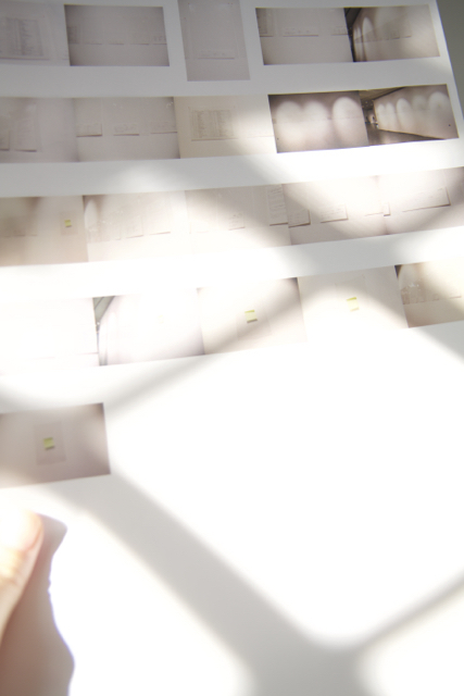 あびてあびて撮りまくれ 「 私の〈正・誤・表〉展 」【 後編 】_f0368718_08472999.jpg