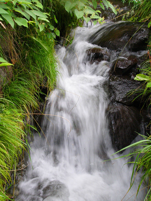 a0329820_00551649.jpg