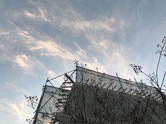 d0096520_13071086.jpg