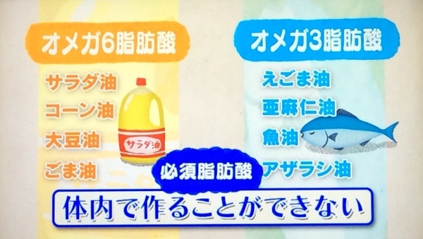 ● 健康長寿が選ぶ、オイルのベスト3。オメガ3と6、1:2がベスト_e0021820_15171498.jpeg