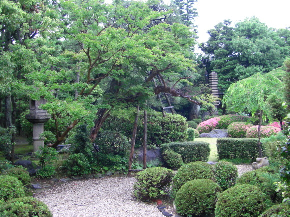 c0074721_16154261.jpg