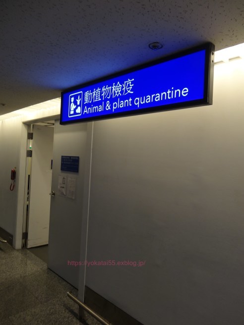 台湾からパイナップルを持ち帰りました(´∀`)~2017年7月編。_a0207624_17144044.jpg