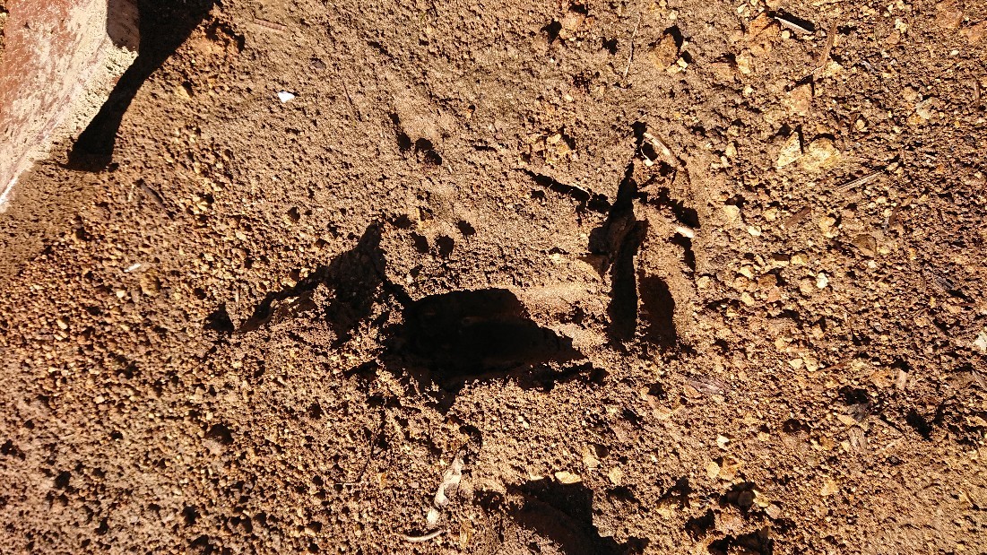 b0211925_22453407.jpg