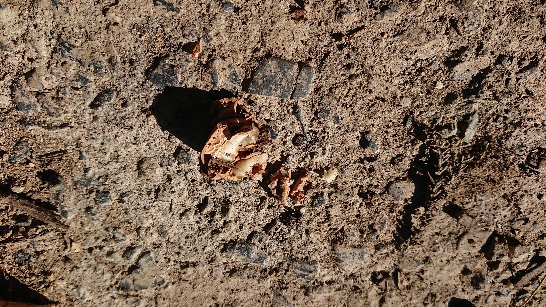 b0211925_22453539.jpg