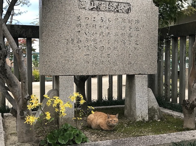 a0285828_16003049.jpeg