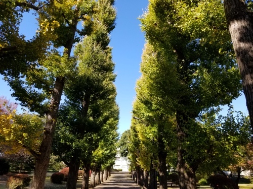e0016828_11023445.jpg