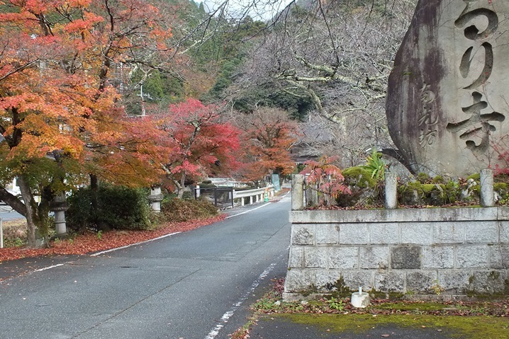 f0177529_08451567.jpg