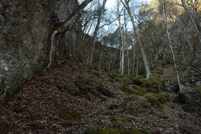 b0341133_14213629.jpg