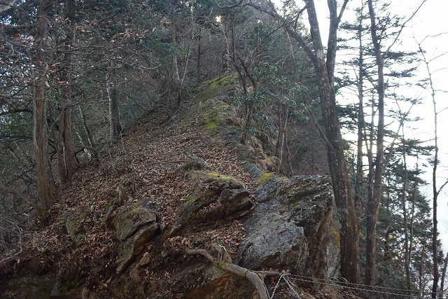 b0341133_14213915.jpg