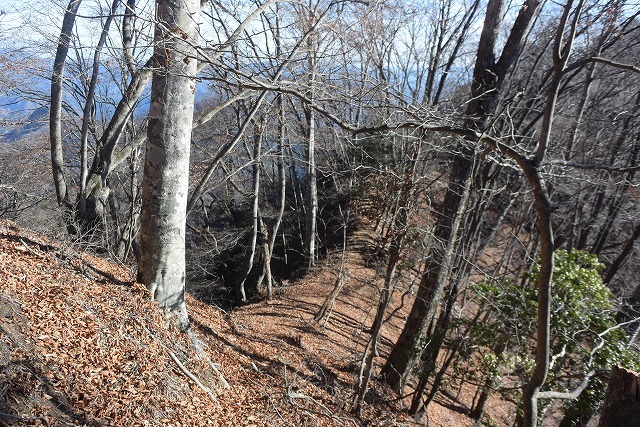 b0341133_14215072.jpg