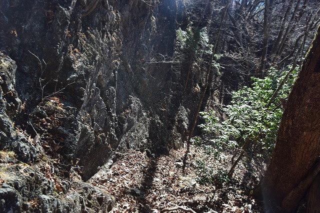 b0341133_14232059.jpg