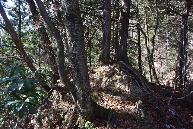 b0341133_14233417.jpg
