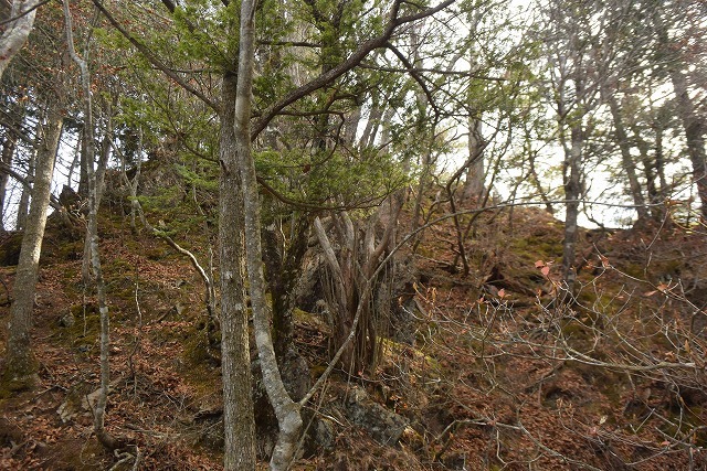 b0341133_14250336.jpg