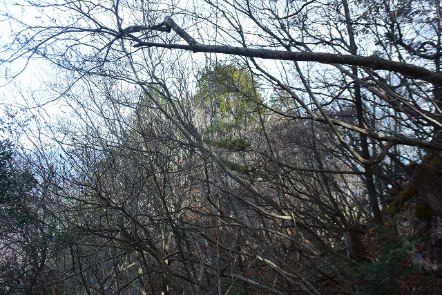 b0341133_14251156.jpg