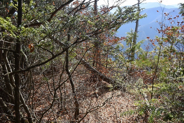 b0341133_14251323.jpg