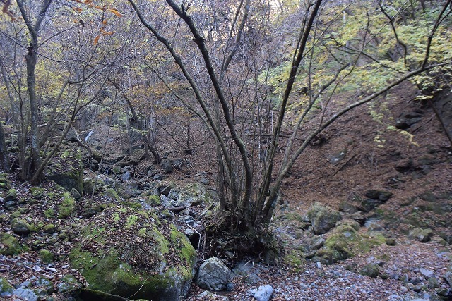 b0341133_14274952.jpg
