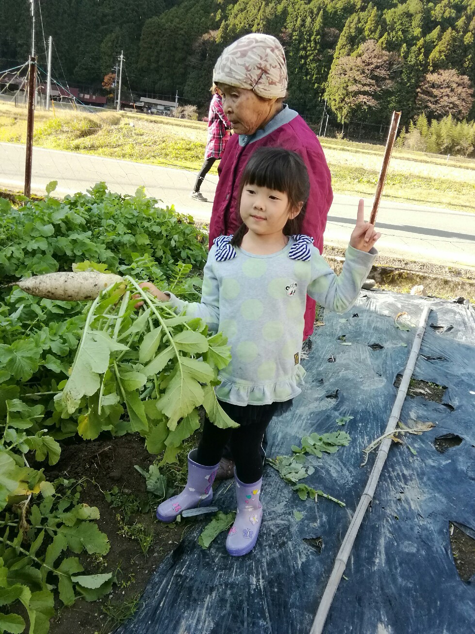 野菜の収穫祭_c0209334_23254752.jpg