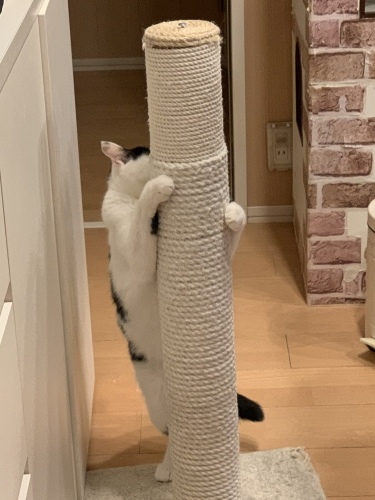 c0342535_23233662.jpeg