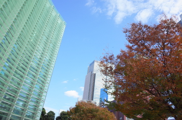 Salon de The ROND（サロン・ド・テ ロンド）　東京都港区六本木/カフェ～ｶｰﾁｬﾝが東京に来た その8_a0287336_22315119.jpg