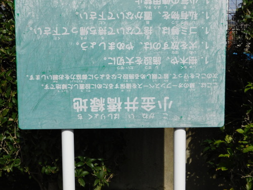 c0338136_14274322.jpg