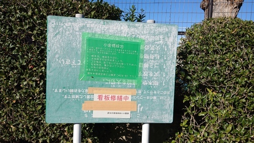 c0338136_14295228.jpg