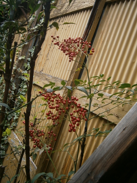 d0343540_16441720.jpg