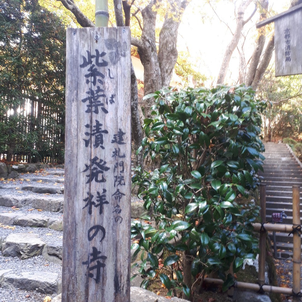 京都観光_e0126541_15311058.jpg