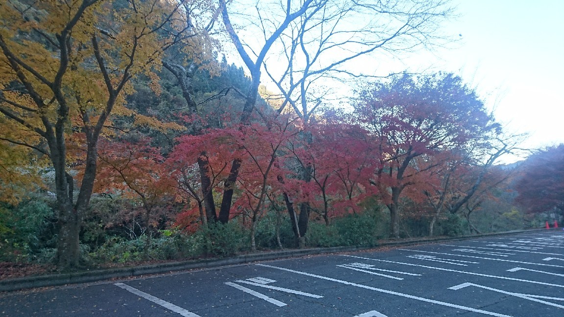 a0201743_12283626.jpg