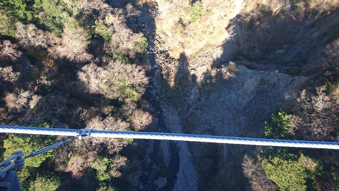 a0201743_12300571.jpg