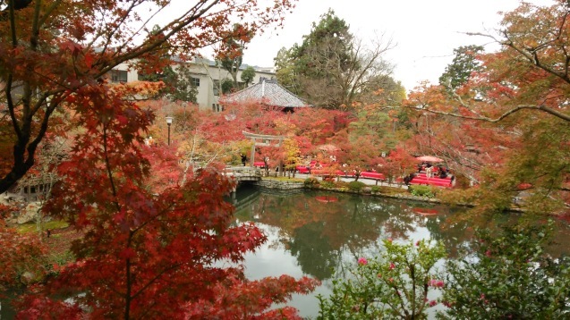 京都の秋　禅林寺永観堂　南禅寺_f0048143_10301200.jpg