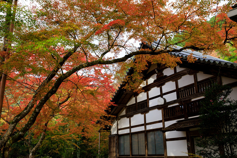 京の紅葉2018　錦秋・西明寺_f0155048_22272198.jpg