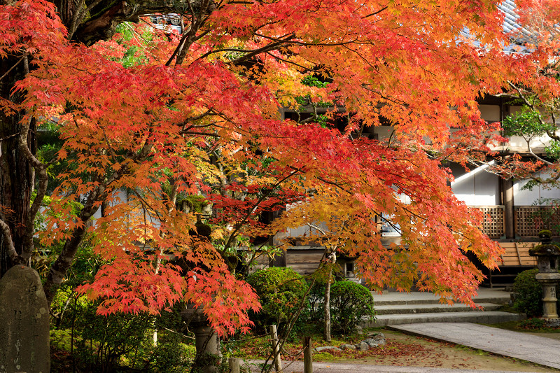 京の紅葉2018　錦秋・西明寺_f0155048_222741.jpg