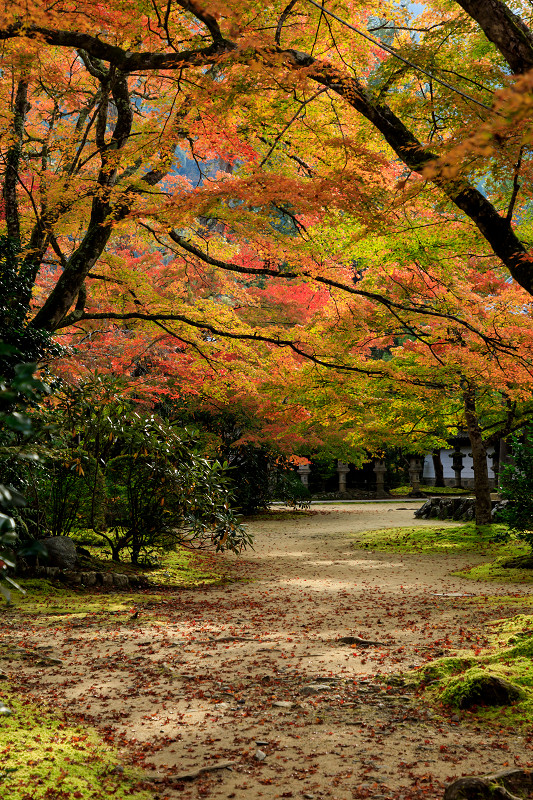 京の紅葉2018　錦秋・西明寺_f0155048_22281253.jpg