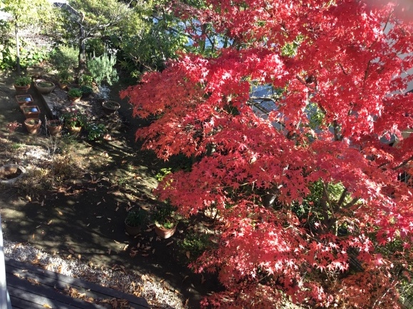 a0157651_16512265.jpeg