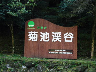 きらり水源村の取り組みを紹介「水源 食の文化祭」明日(11/25(日))開催&水源ばぁばの「陽だまり弁当」_a0254656_17211728.jpg